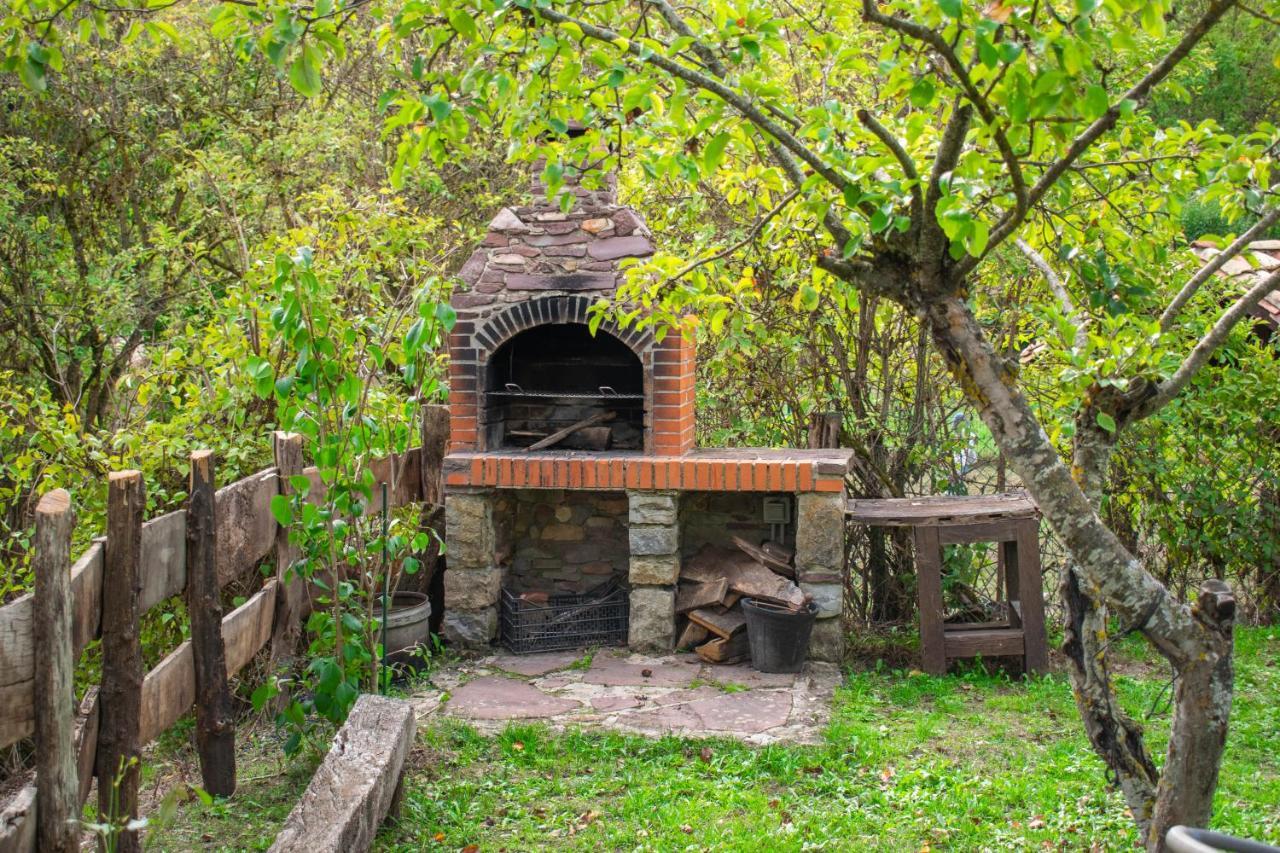 Casa Monaut, Acogedores Apartamentos A Los Pies De La Selva De Irati Saragueta 외부 사진