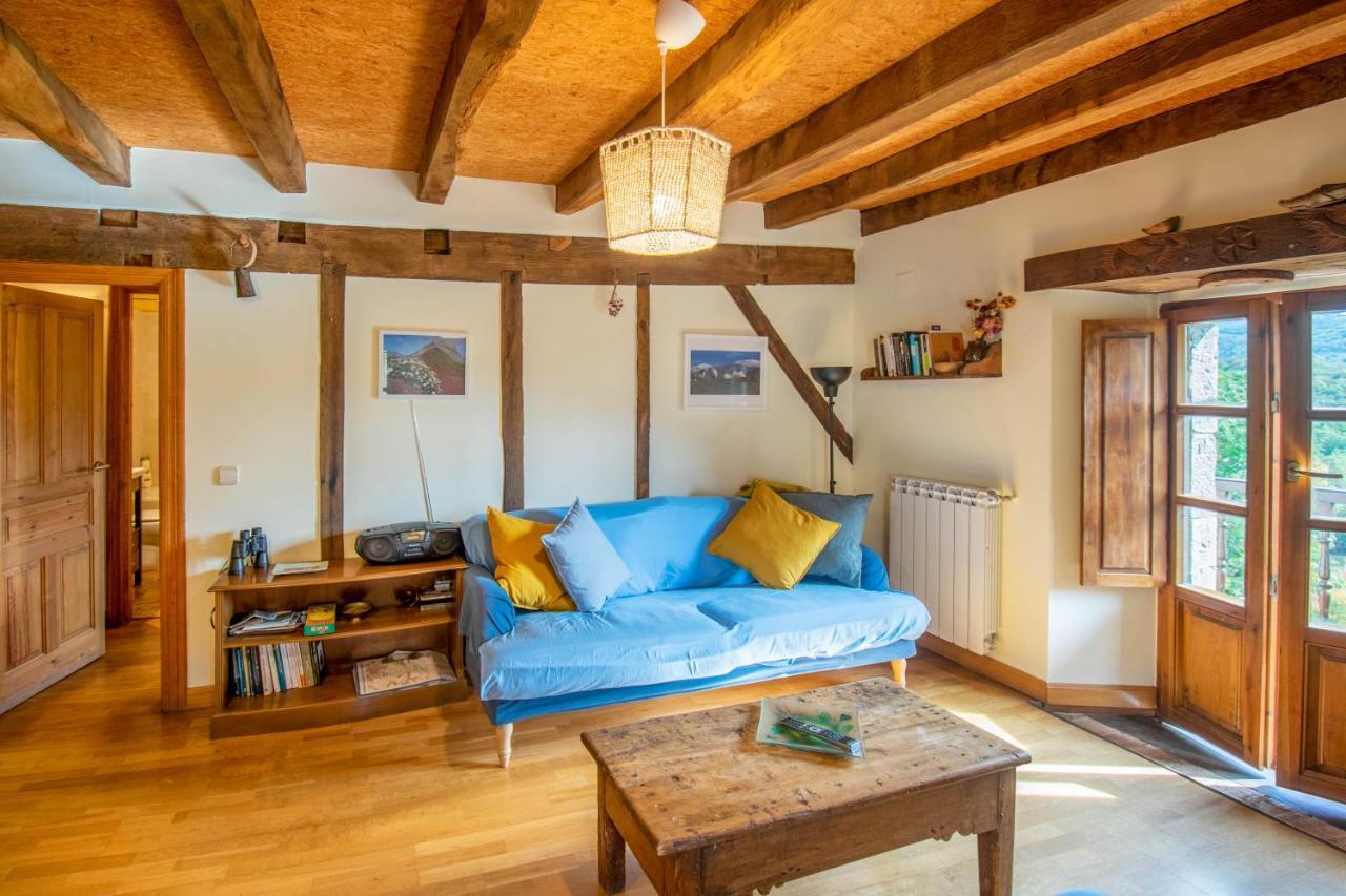Casa Monaut, Acogedores Apartamentos A Los Pies De La Selva De Irati Saragueta 외부 사진